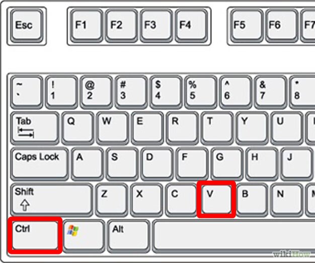 ctrl v